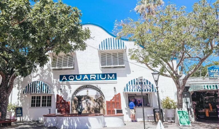 Activities and Things to do in Key West on a Rainy Day