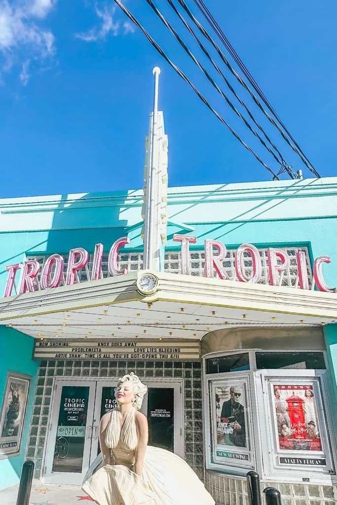 picture of tropic cinema, which has a  retro theme
