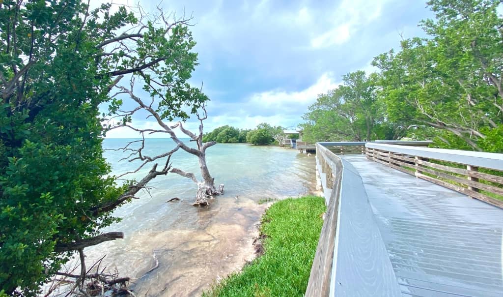 boardwalk alongside the ocean in islamorada florida