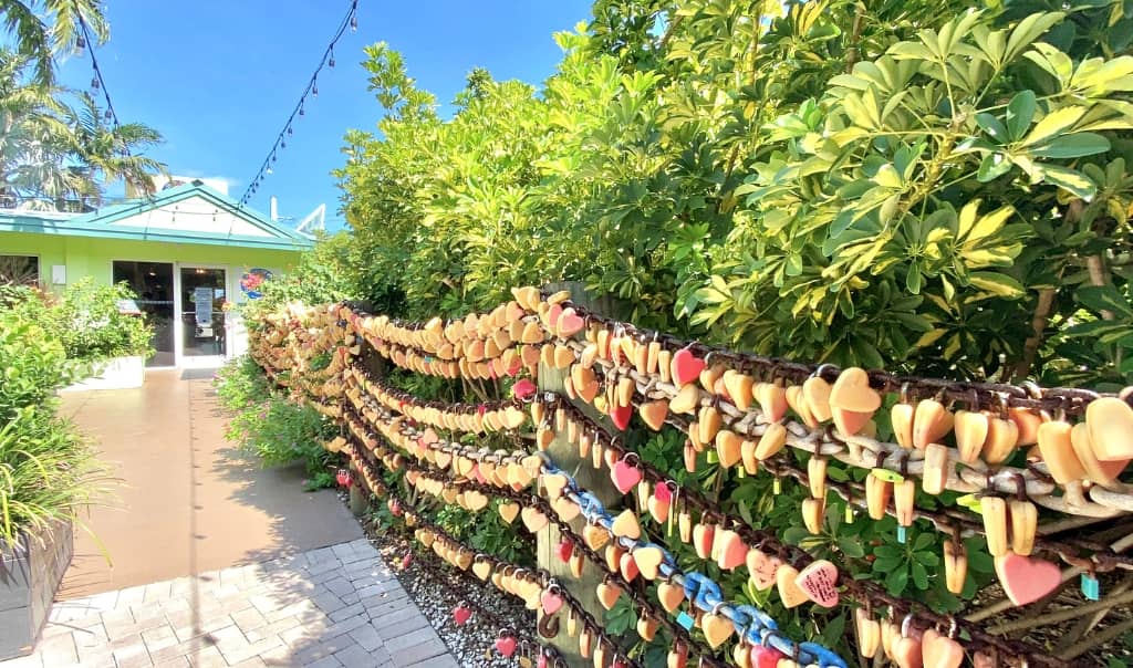 fence covered with locks at the blond giraffe in islamorada florida
