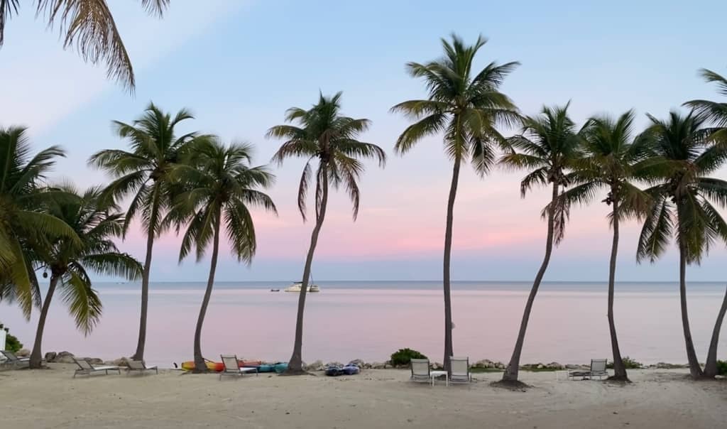 sunset in islamorada florida on a beach surrounded with palm trees