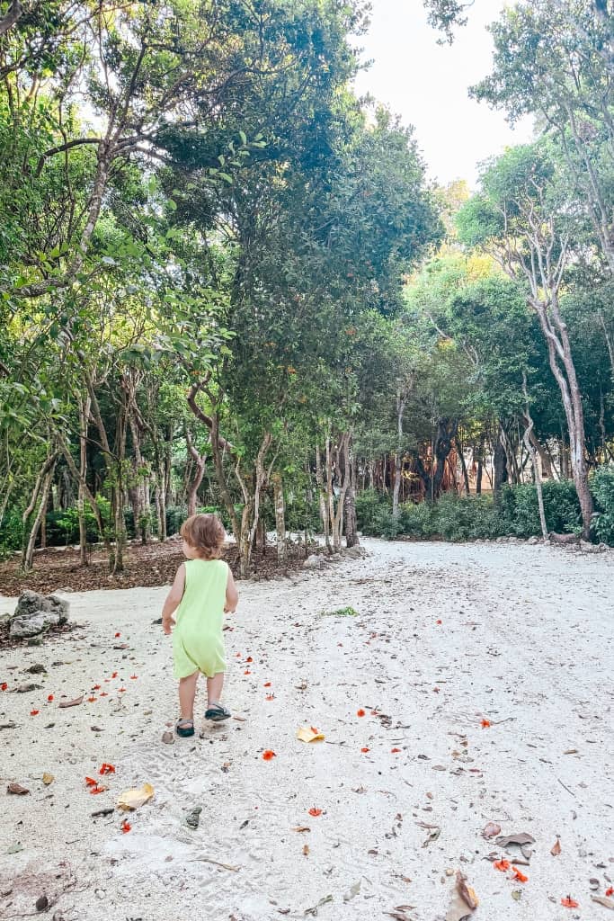toddler walking on a sandy trail at a bakers cay in key largo surrounded by tropical foliage 