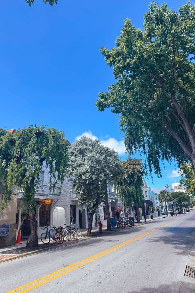 duval street lined with historic colorful conch houses and tropical trees on a sunny day